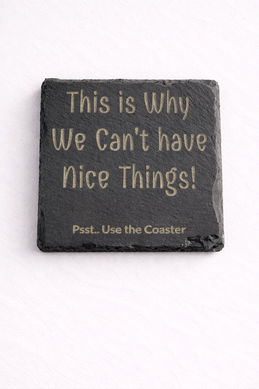 This is WHY we Can't Have Nice Things Slate Coaster